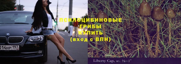 меф Арсеньев