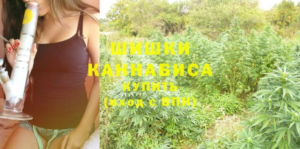 круглые Аркадак