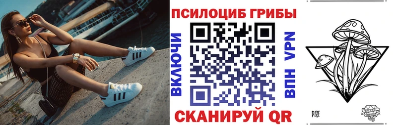 хочу наркоту  Усть-Лабинск  Галлюциногенные грибы Cubensis 